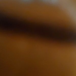 Meet your Posher, Sharee